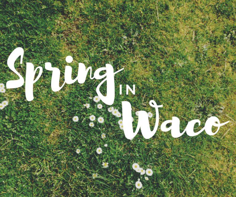 A Complete Guide to Spring in Waco