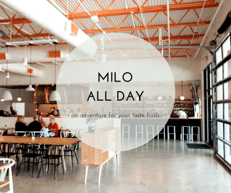 Milo All Day: An Adventure For Your Taste Buds