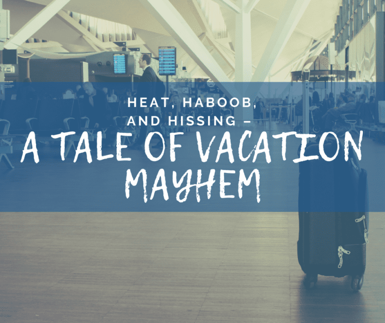 Heat, Haboob, and Hissing – a Tale of Vacation Mayhem