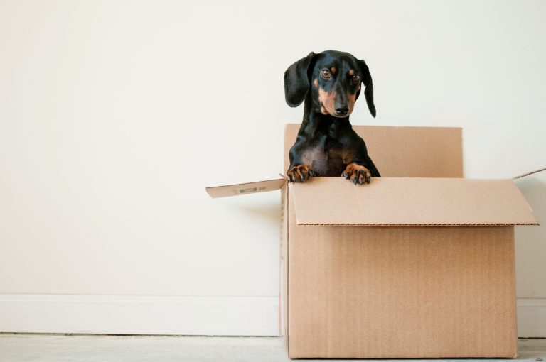 Moving to Waco? A King’s Sons Moving Co Is Here to Help!