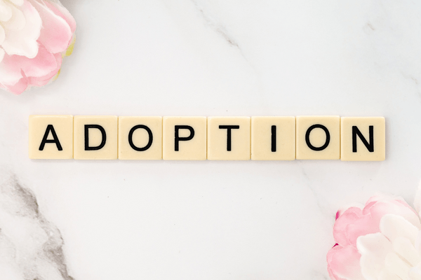 National Adoption Month: Our Journey